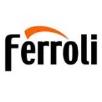 Servicio Técnico Ferroli en Almendralejo
